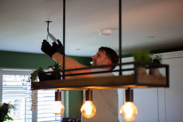 Best Electric Panel Repair  in Dyer, IN